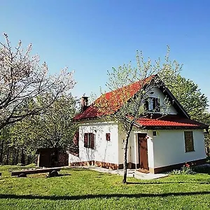Coprnicka Hisa Vakantiehuis Skrad
